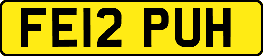 FE12PUH