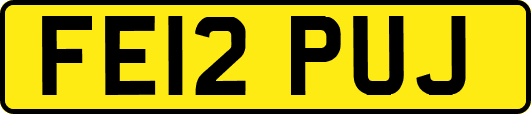 FE12PUJ