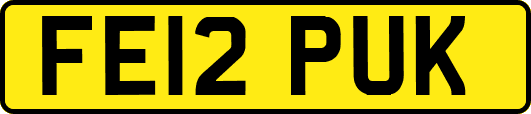 FE12PUK