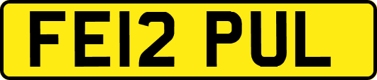FE12PUL