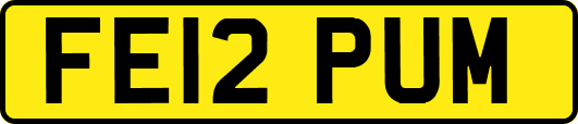 FE12PUM