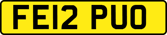 FE12PUO
