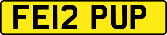 FE12PUP