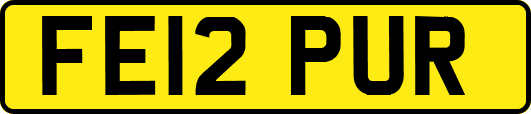 FE12PUR