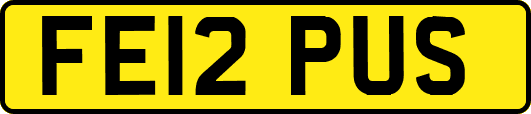 FE12PUS