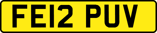 FE12PUV