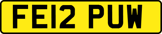 FE12PUW