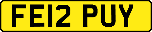 FE12PUY