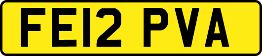 FE12PVA