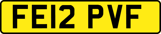 FE12PVF
