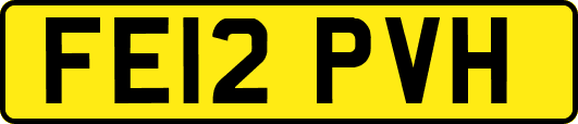 FE12PVH