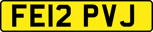 FE12PVJ