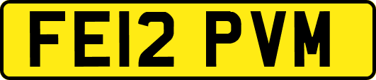FE12PVM