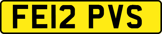 FE12PVS