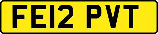 FE12PVT