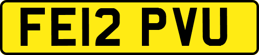 FE12PVU
