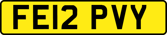 FE12PVY