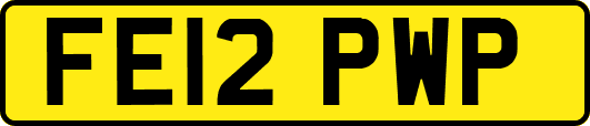 FE12PWP