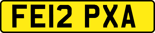 FE12PXA