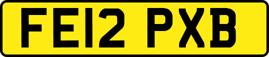 FE12PXB
