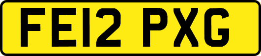 FE12PXG