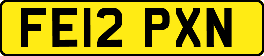 FE12PXN