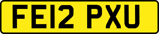 FE12PXU