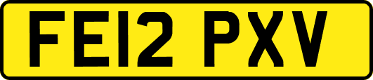 FE12PXV
