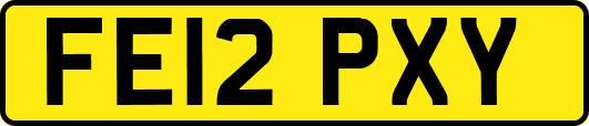 FE12PXY