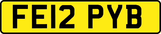 FE12PYB