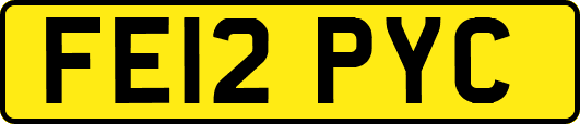 FE12PYC