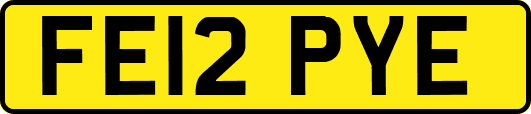FE12PYE