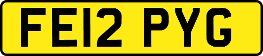 FE12PYG