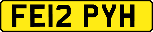 FE12PYH