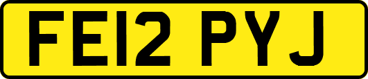 FE12PYJ