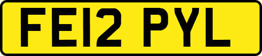 FE12PYL