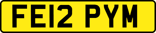 FE12PYM