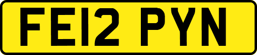 FE12PYN