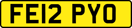 FE12PYO