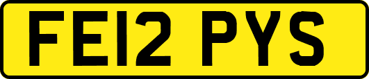 FE12PYS