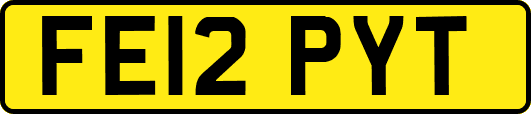 FE12PYT