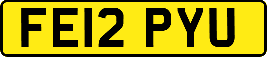 FE12PYU
