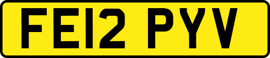 FE12PYV