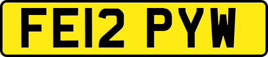 FE12PYW