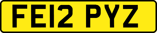 FE12PYZ