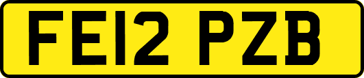 FE12PZB