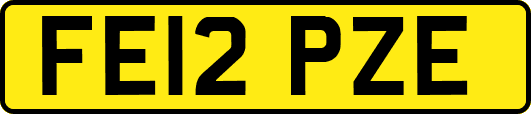 FE12PZE