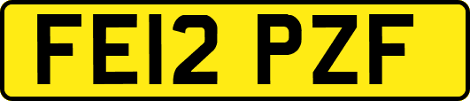 FE12PZF