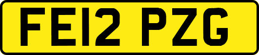 FE12PZG