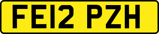 FE12PZH